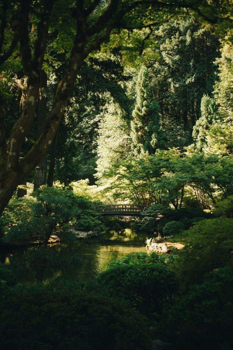 Jardines Verdes do Sul 1