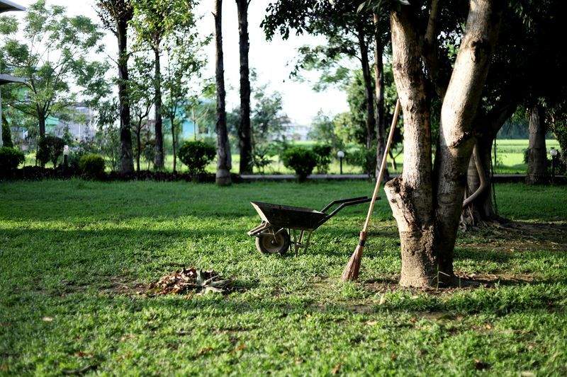 Jardines Verdes do Sul 4