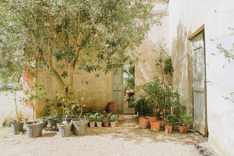 Jardines Verdes do Sul 9